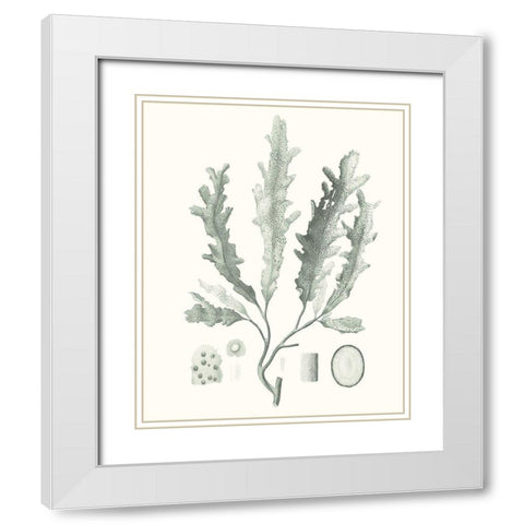 Sage Green Seaweed I White Modern Wood Framed Art Print with Double Matting by Vision Studio