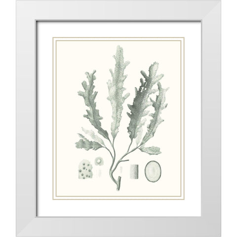 Sage Green Seaweed I White Modern Wood Framed Art Print with Double Matting by Vision Studio