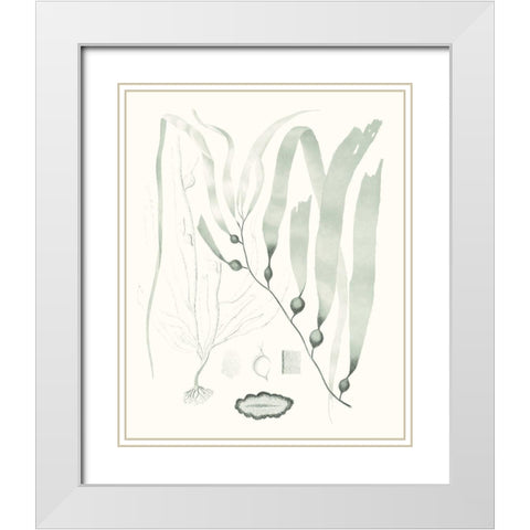 Sage Green Seaweed III White Modern Wood Framed Art Print with Double Matting by Vision Studio