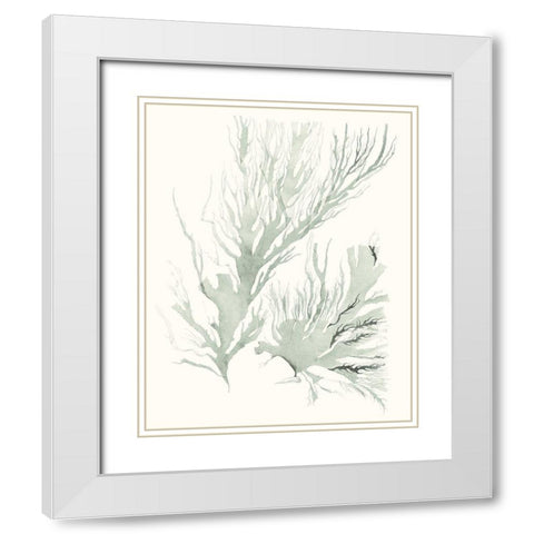 Sage Green Seaweed IV White Modern Wood Framed Art Print with Double Matting by Vision Studio