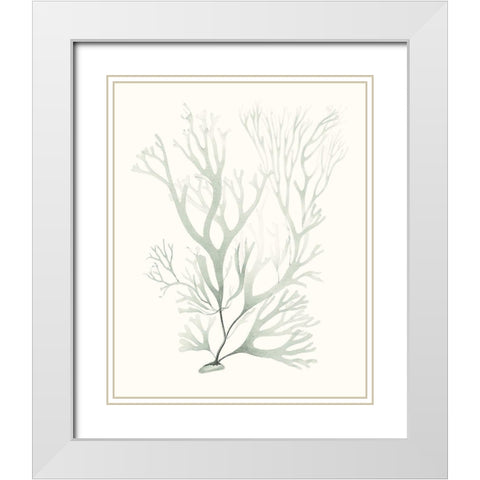 Sage Green Seaweed V White Modern Wood Framed Art Print with Double Matting by Vision Studio