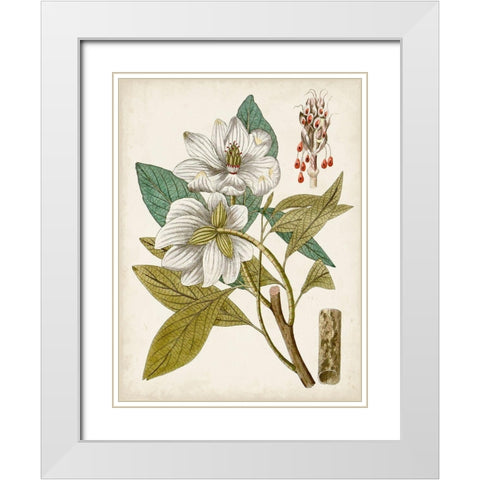 Vintage Charm I White Modern Wood Framed Art Print with Double Matting by Vision Studio