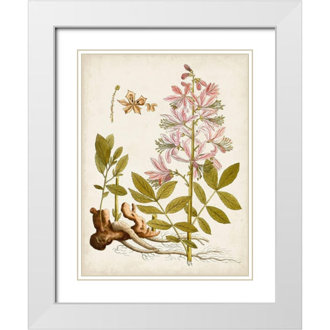 Vintage Charm II White Modern Wood Framed Art Print with Double Matting by Vision Studio
