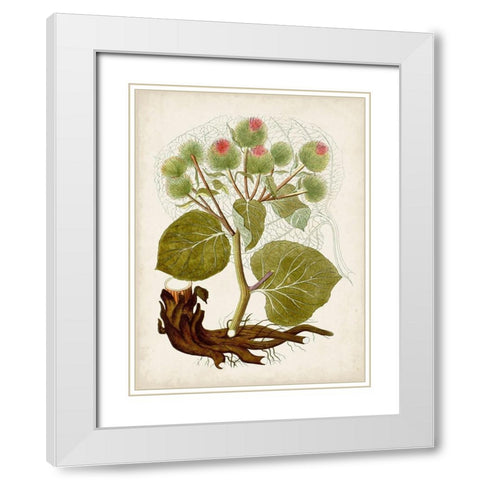 Vintage Charm III White Modern Wood Framed Art Print with Double Matting by Vision Studio