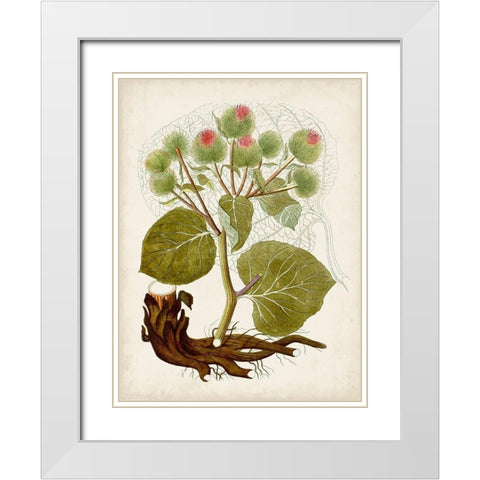 Vintage Charm III White Modern Wood Framed Art Print with Double Matting by Vision Studio