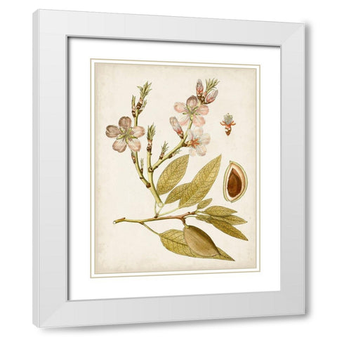 Vintage Charm IV White Modern Wood Framed Art Print with Double Matting by Vision Studio