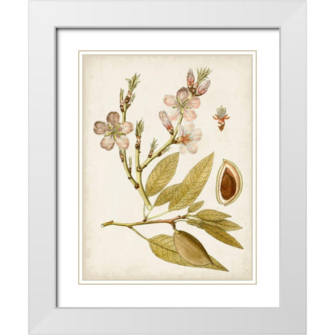 Vintage Charm IV White Modern Wood Framed Art Print with Double Matting by Vision Studio