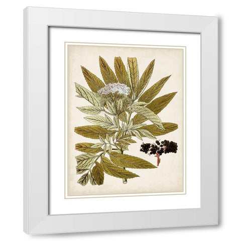 Vintage Charm V White Modern Wood Framed Art Print with Double Matting by Vision Studio