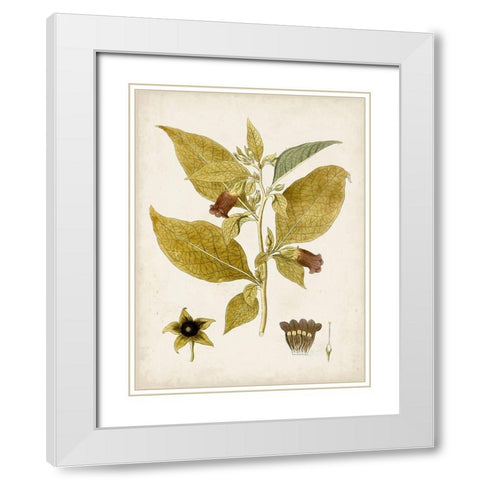 Vintage Charm VI White Modern Wood Framed Art Print with Double Matting by Vision Studio