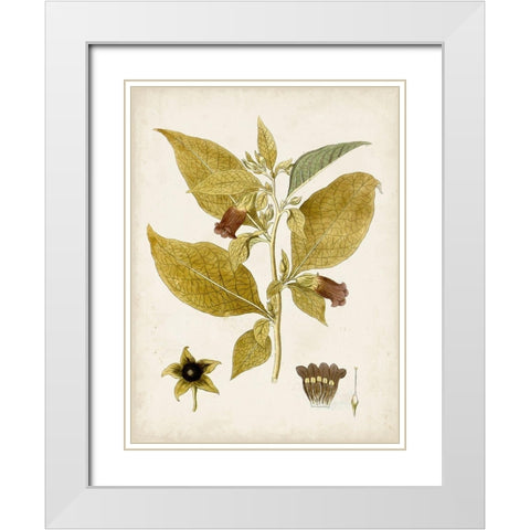 Vintage Charm VI White Modern Wood Framed Art Print with Double Matting by Vision Studio
