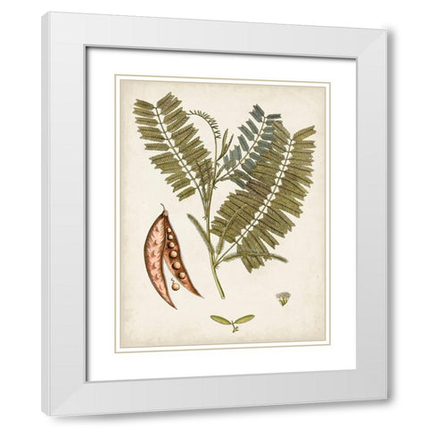 Vintage Charm VII White Modern Wood Framed Art Print with Double Matting by Vision Studio