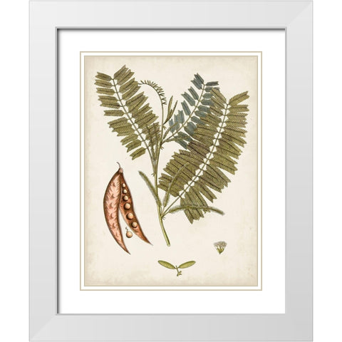 Vintage Charm VII White Modern Wood Framed Art Print with Double Matting by Vision Studio