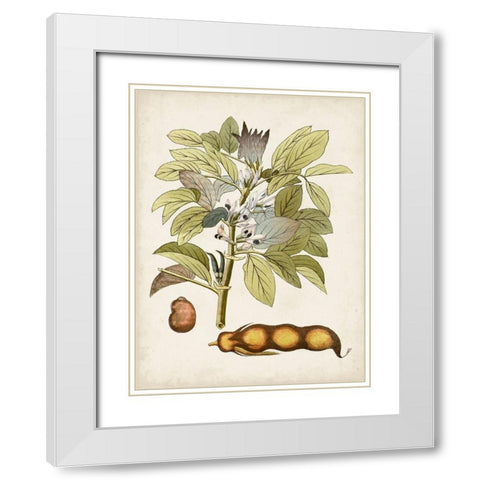 Vintage Charm VIII White Modern Wood Framed Art Print with Double Matting by Vision Studio