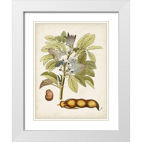 Vintage Charm VIII White Modern Wood Framed Art Print with Double Matting by Vision Studio