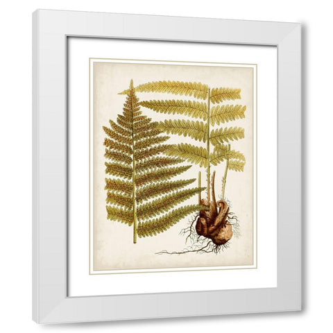 Vintage Charm IX White Modern Wood Framed Art Print with Double Matting by Vision Studio