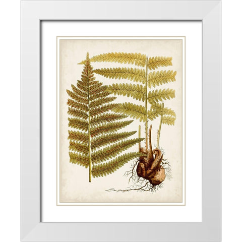 Vintage Charm IX White Modern Wood Framed Art Print with Double Matting by Vision Studio