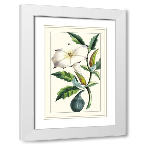 Turpin Exotic Botanical I White Modern Wood Framed Art Print with Double Matting by Turpin