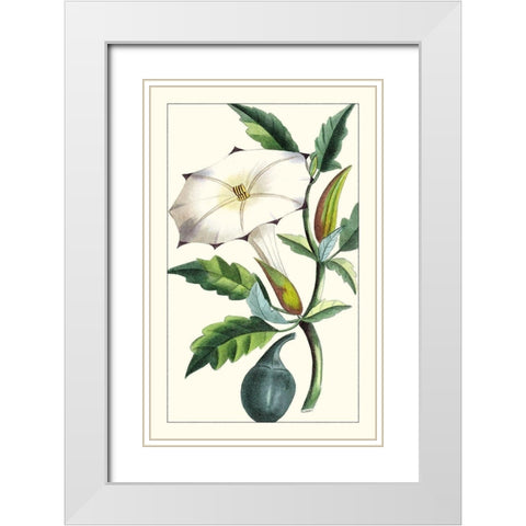 Turpin Exotic Botanical I White Modern Wood Framed Art Print with Double Matting by Turpin