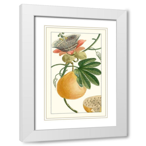 Turpin Exotic Botanical III White Modern Wood Framed Art Print with Double Matting by Turpin