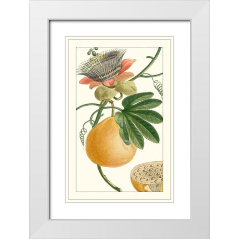Turpin Exotic Botanical III White Modern Wood Framed Art Print with Double Matting by Turpin