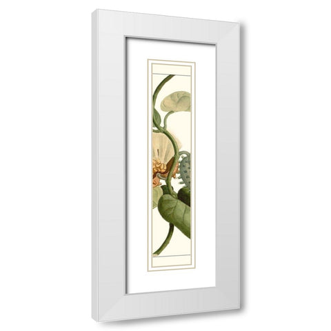 Turpin Exotic Botanical V White Modern Wood Framed Art Print with Double Matting by Turpin