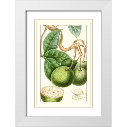 Turpin Exotic Botanical VI White Modern Wood Framed Art Print with Double Matting by Turpin