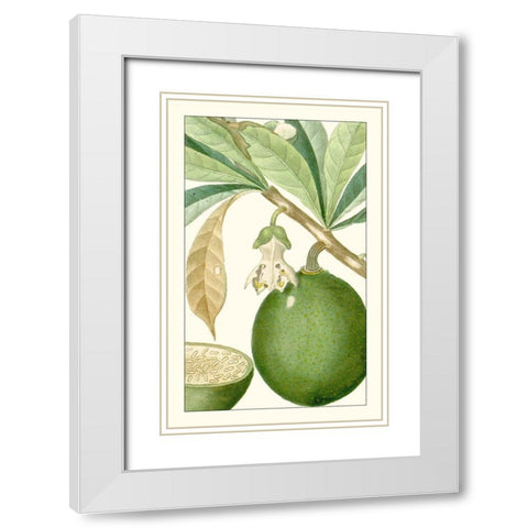 Turpin Exotic Botanical VIII White Modern Wood Framed Art Print with Double Matting by Turpin