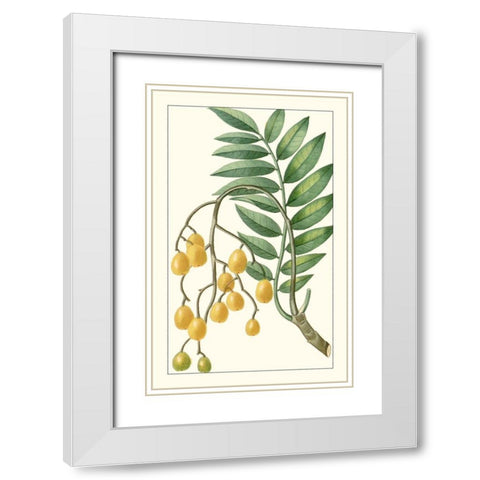 Turpin Exotic Botanical IX White Modern Wood Framed Art Print with Double Matting by Turpin
