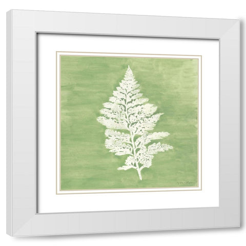Forest Ferns IV White Modern Wood Framed Art Print with Double Matting by Lam, Vanna