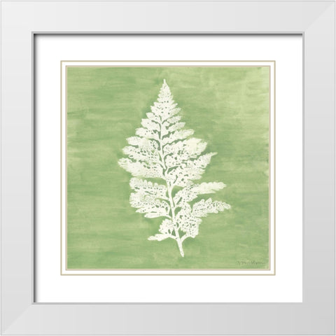 Forest Ferns IV White Modern Wood Framed Art Print with Double Matting by Lam, Vanna