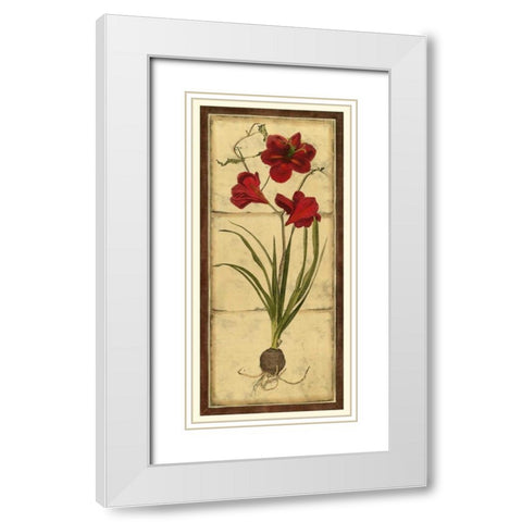 Amaryllis Panel I White Modern Wood Framed Art Print with Double Matting by Vision Studio