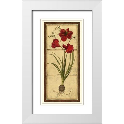 Amaryllis Panel I White Modern Wood Framed Art Print with Double Matting by Vision Studio