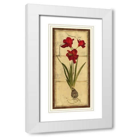 Amaryllis Panel II White Modern Wood Framed Art Print with Double Matting by Vision Studio