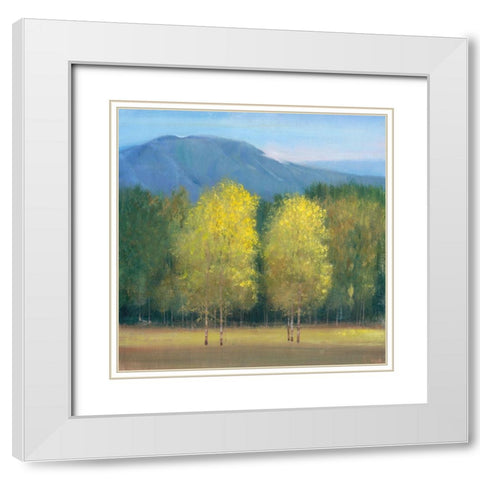 Shaft of Light I White Modern Wood Framed Art Print with Double Matting by OToole, Tim