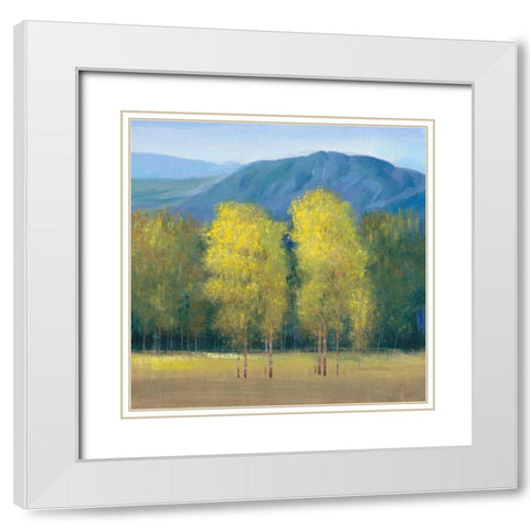 Shaft of Light II White Modern Wood Framed Art Print with Double Matting by OToole, Tim