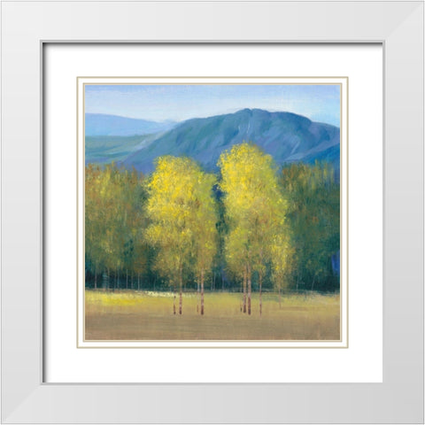Shaft of Light II White Modern Wood Framed Art Print with Double Matting by OToole, Tim