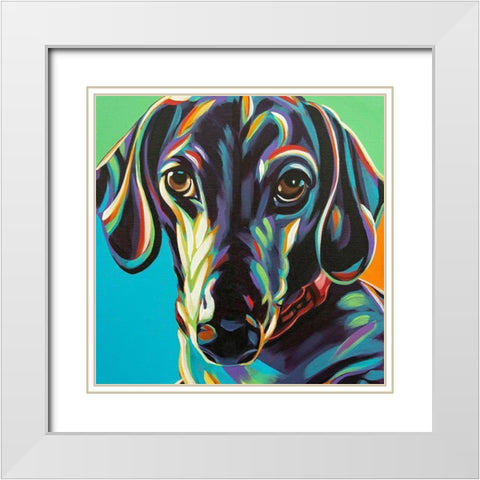 Painted Dachshund I White Modern Wood Framed Art Print with Double Matting by Vitaletti, Carolee