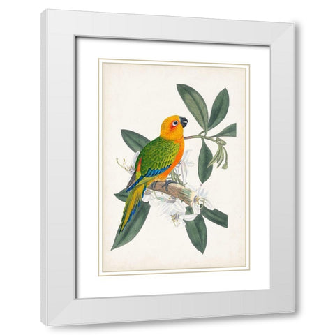 UA Tropical Bird and Flower I White Modern Wood Framed Art Print with Double Matting by Vision Studio
