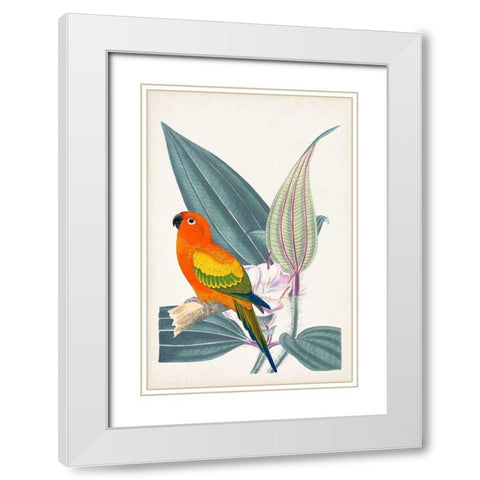 UA Tropical Bird and Flower IV White Modern Wood Framed Art Print with Double Matting by Vision Studio