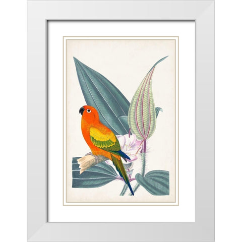 UA Tropical Bird and Flower IV White Modern Wood Framed Art Print with Double Matting by Vision Studio