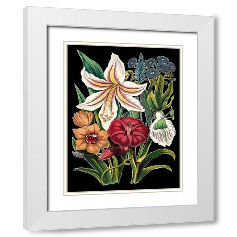 Garden Gathering V White Modern Wood Framed Art Print with Double Matting by Unknown