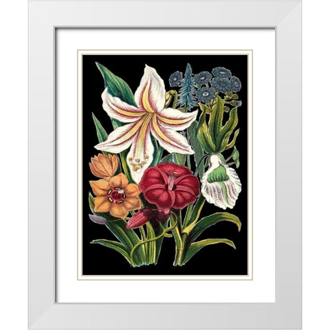 Garden Gathering V White Modern Wood Framed Art Print with Double Matting by Unknown