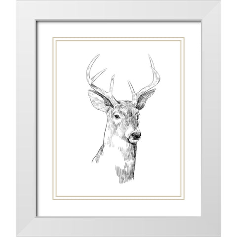 Young Buck Sketch I White Modern Wood Framed Art Print with Double Matting by Scarvey, Emma