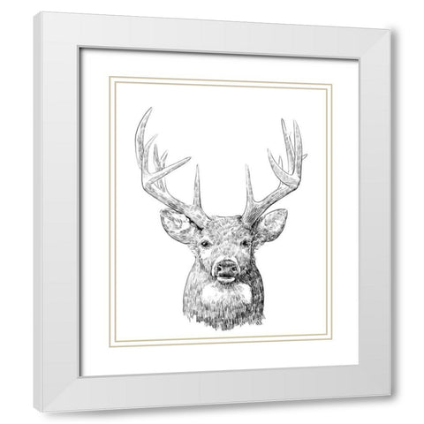 Young Buck Sketch II White Modern Wood Framed Art Print with Double Matting by Scarvey, Emma