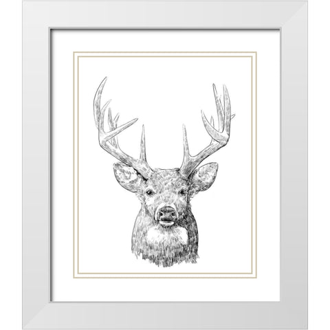 Young Buck Sketch II White Modern Wood Framed Art Print with Double Matting by Scarvey, Emma