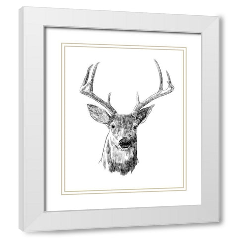 Young Buck Sketch III White Modern Wood Framed Art Print with Double Matting by Scarvey, Emma