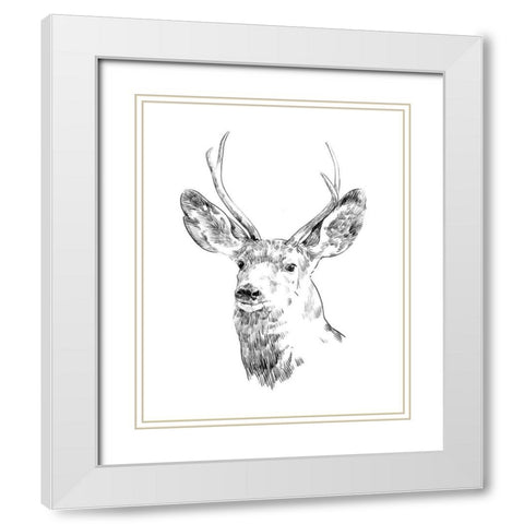 Young Buck Sketch IV White Modern Wood Framed Art Print with Double Matting by Scarvey, Emma