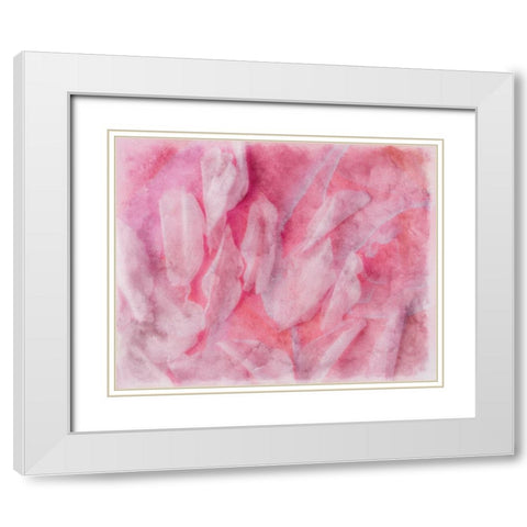 Coral Essence II White Modern Wood Framed Art Print with Double Matting by Bane, Eva