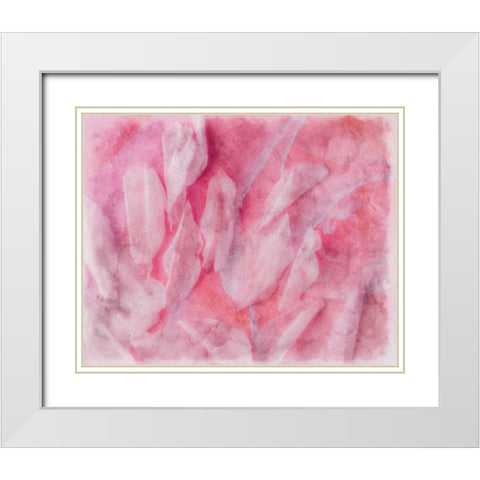 Coral Essence II White Modern Wood Framed Art Print with Double Matting by Bane, Eva