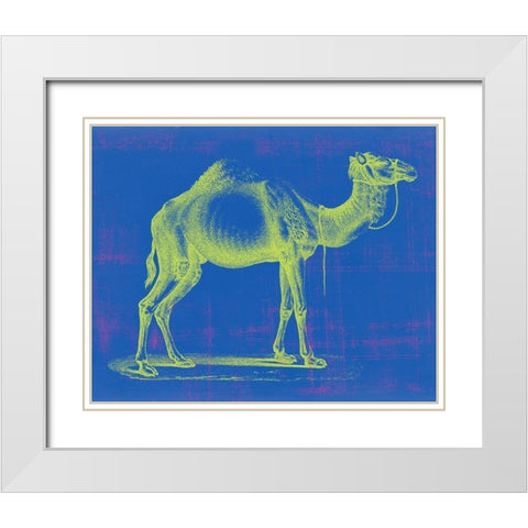 Safari Pop III White Modern Wood Framed Art Print with Double Matting by Studio W